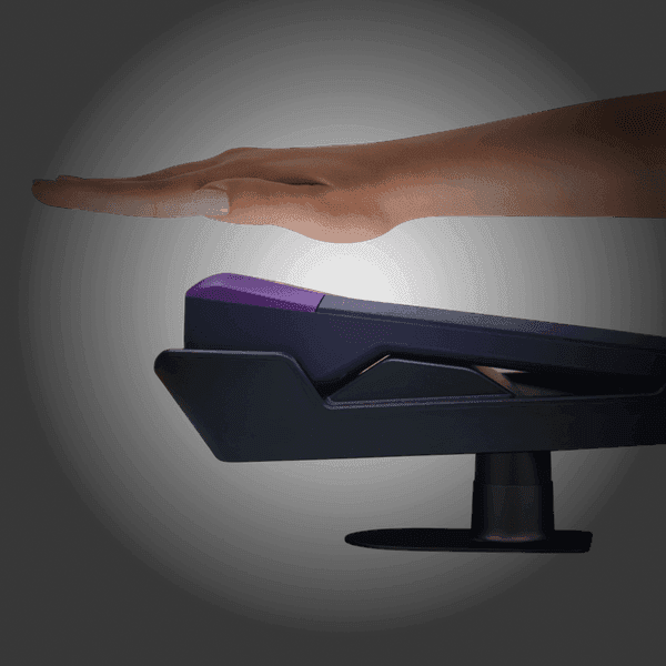 Palm biometric scanning